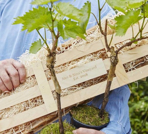 Personalised grapevine set, best wine gifts