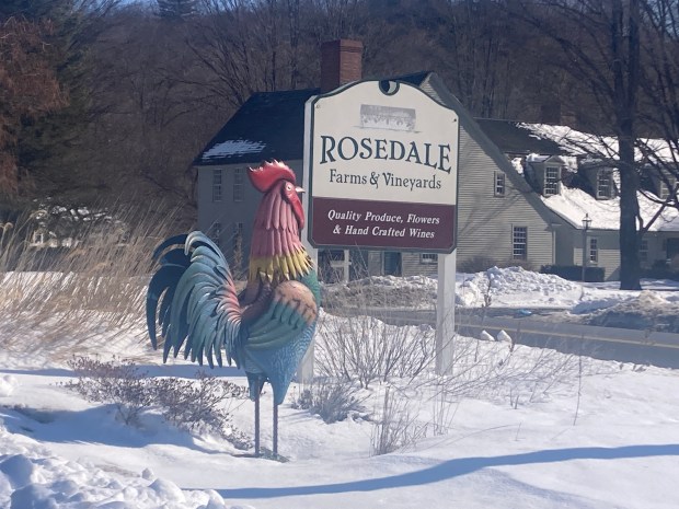 Rosedale Farms & Vineyards in Simsbury, where the same family has been growing crops since 1920. (Don Stacom/The Hartford Courant)