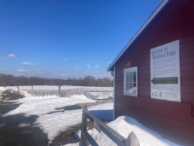 Part of the 110-acre Rosedale Farms & Vineyards stretching out toward a treeline. (Don Stacom/The Hartford Courant)