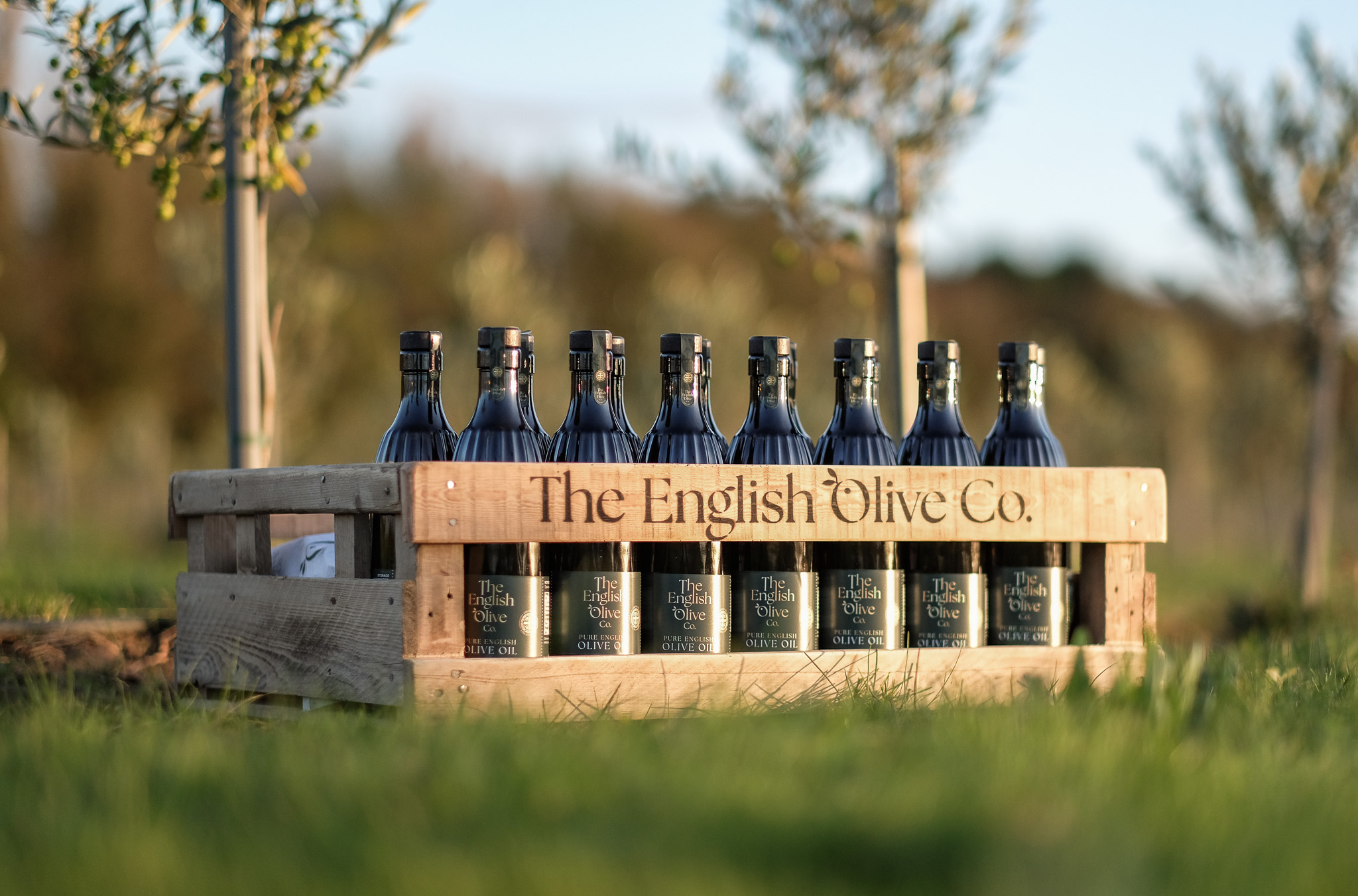A box of olive oil bottles in a field