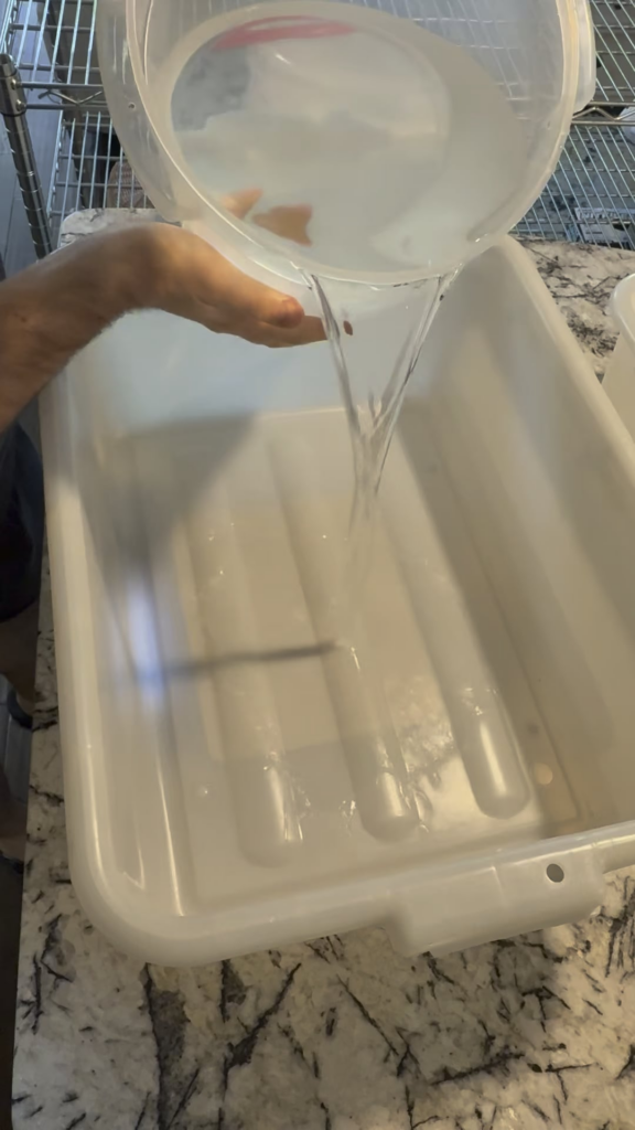 My Process For Mixing Bulk Sourdough By Hand