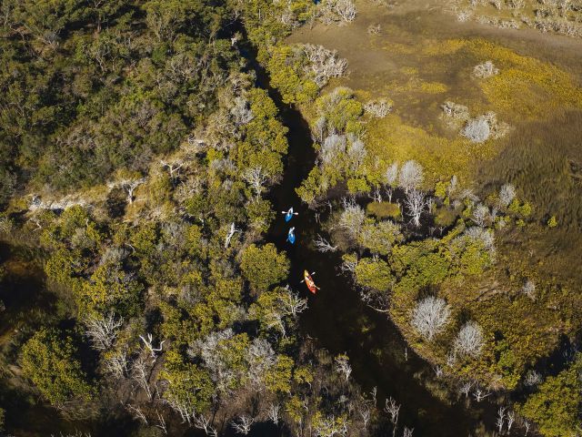 kayak tour through the mangroves at k'gari island