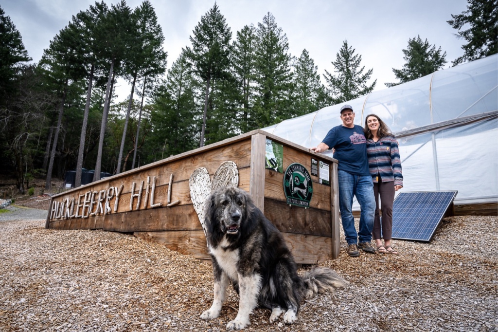 huckleberry hill farms emerald triangle