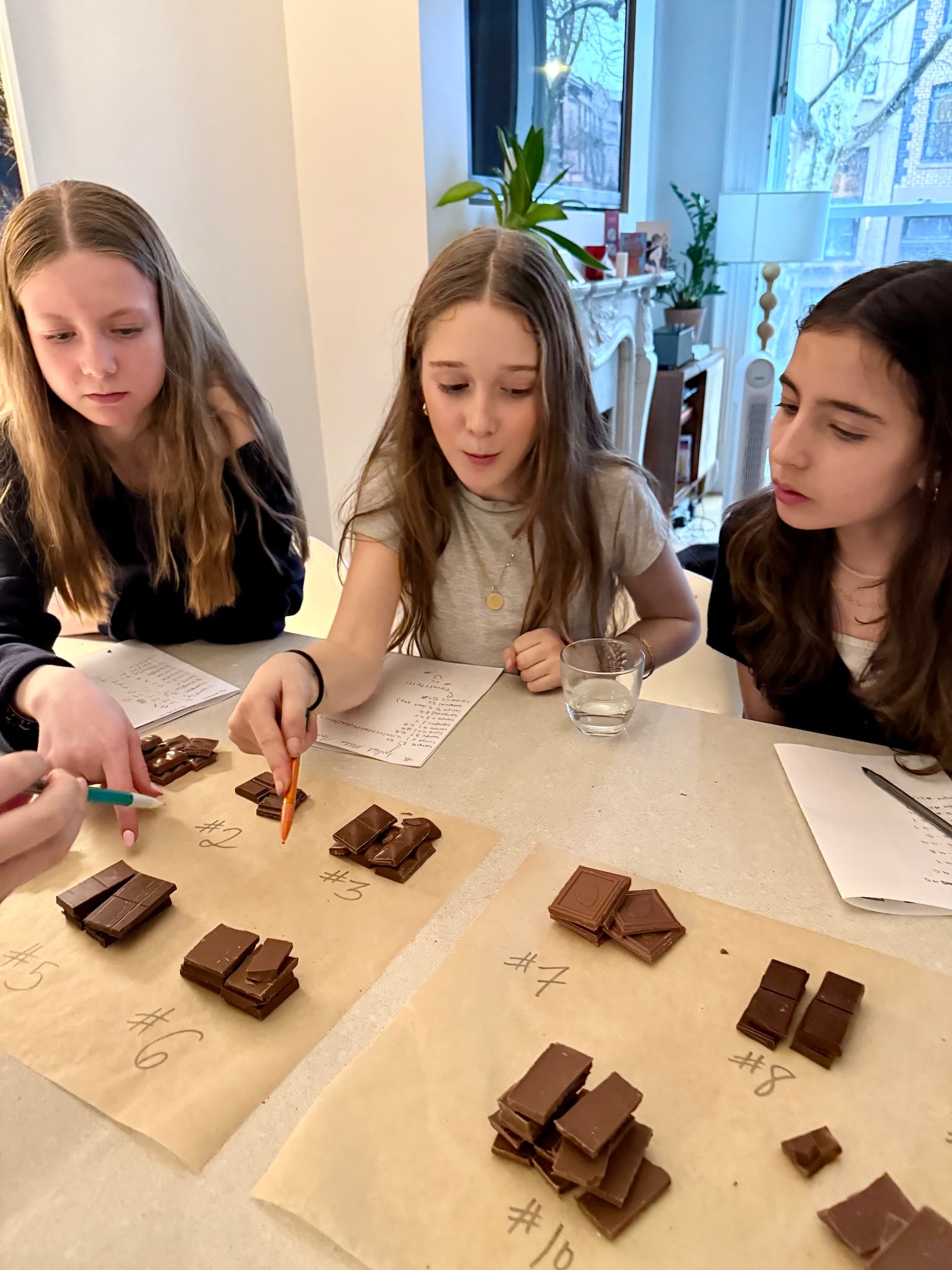 A Milk Chocolate Taste Test