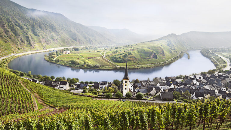 Thanks to unique vineyard sites and microclimates, even the driest of Mosel Rieslings can still register at 11.5% or 12% ABV. Photo courtesy of Wines of Germany.