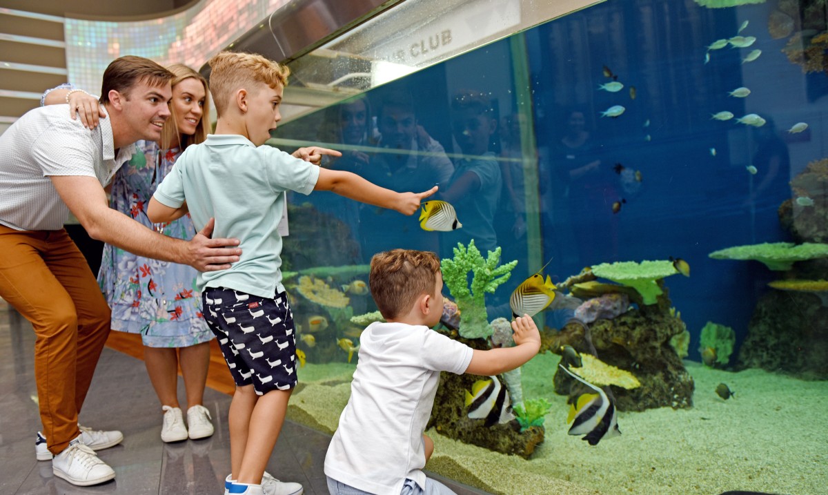 Father's Day at Southport Sharks (image supplied)