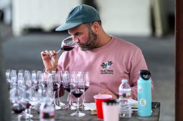 Wolfgang Weber assesses wines during the first phase of the 1976 Redo at Pax Wines in Sebastopol. (James Joiner)
