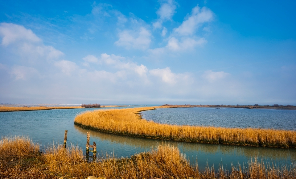 The Veneto Estuary