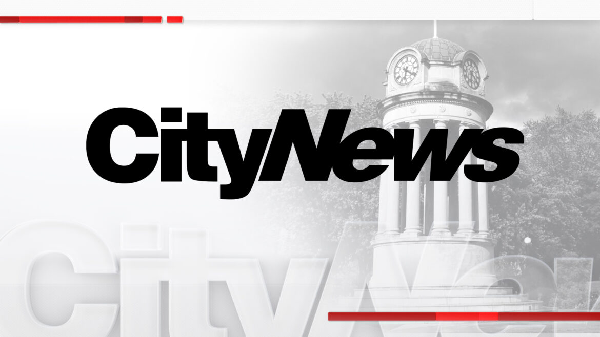 Canadian Food Inspection Agency recalls 10 frozen Italian pastries