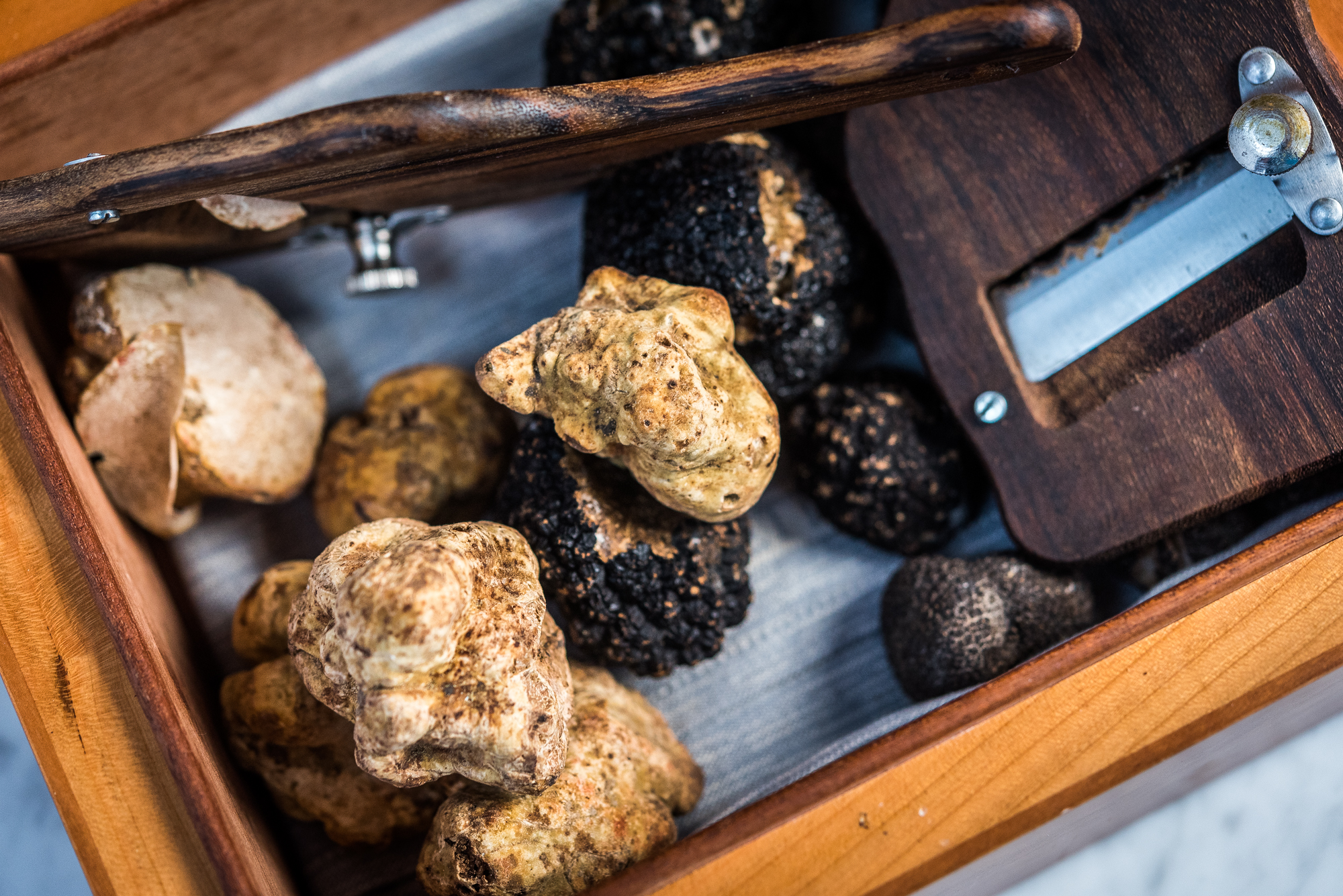 Officina offers imported truffles when they’re in season.