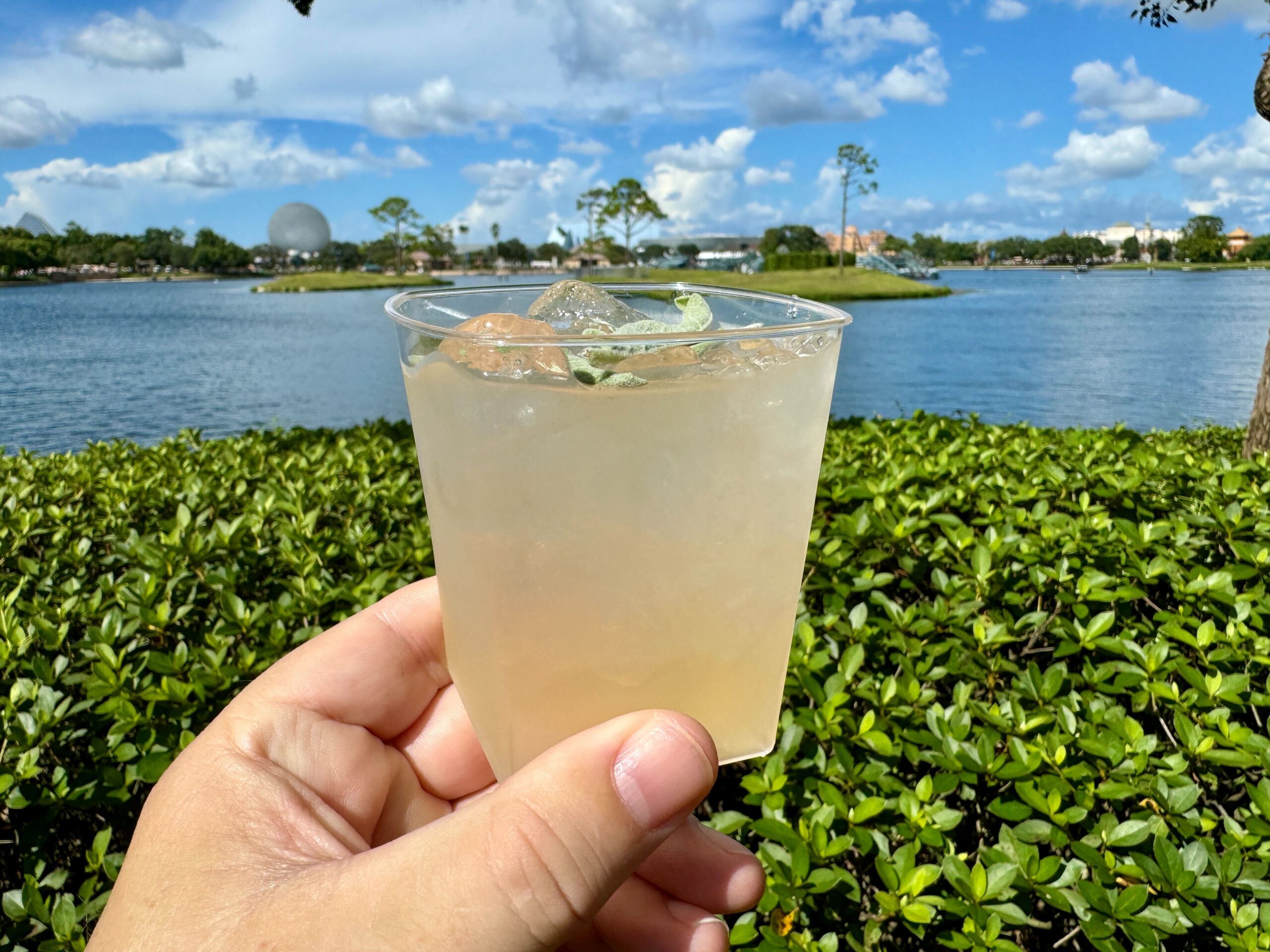 A hand holds a plastic cup with a light-colored beverage, reminiscent of a fine vintage, in front of a scenic lake and a clear, partly cloudy sky.