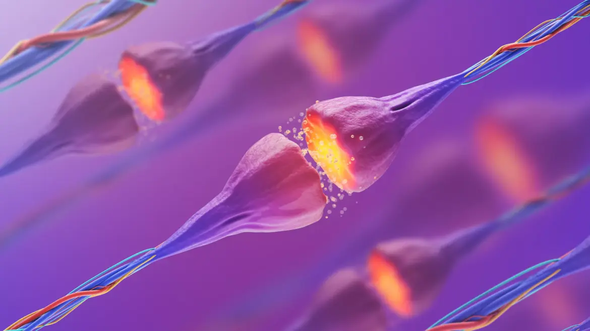 Mediterranean diet and gut microbiota: impact on memory and other cognitive functions: a systematic review Mediterranean diet and gut microbiota: impact on memory and other cognitive functions: a systematic review