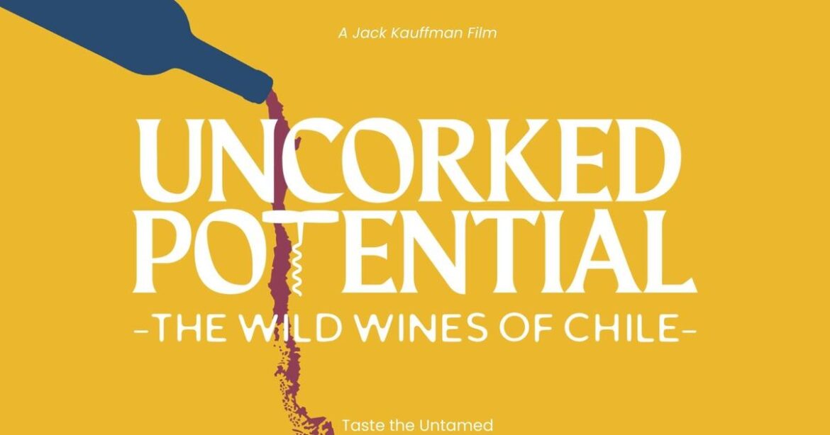 Uncorked Potential: The Wild Wines of Chile