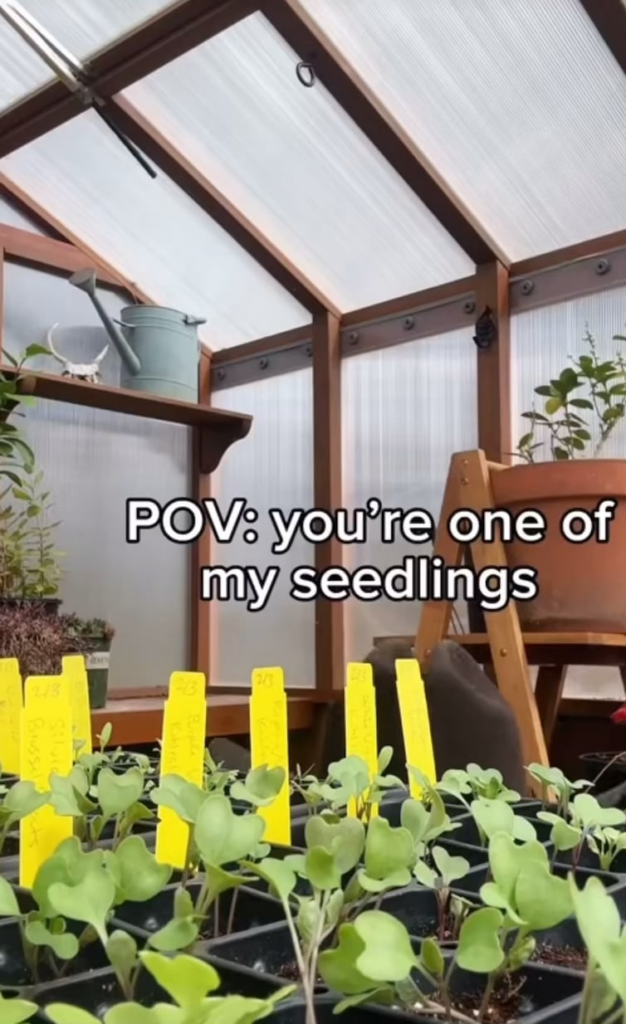 Me at least 100 times a day