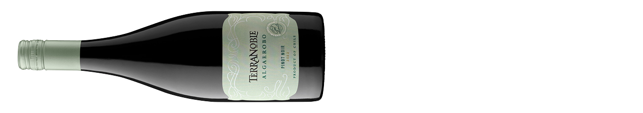 Terranoble-Algarrobo-Pinot-Noir-2024.jpg