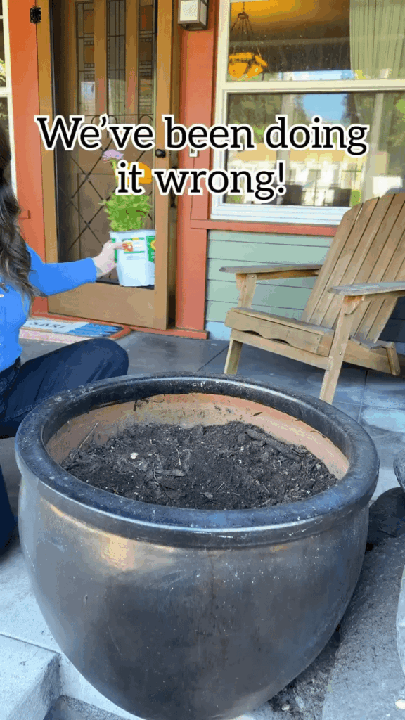 Re-potting/Up-potting trick to make transplanting easier