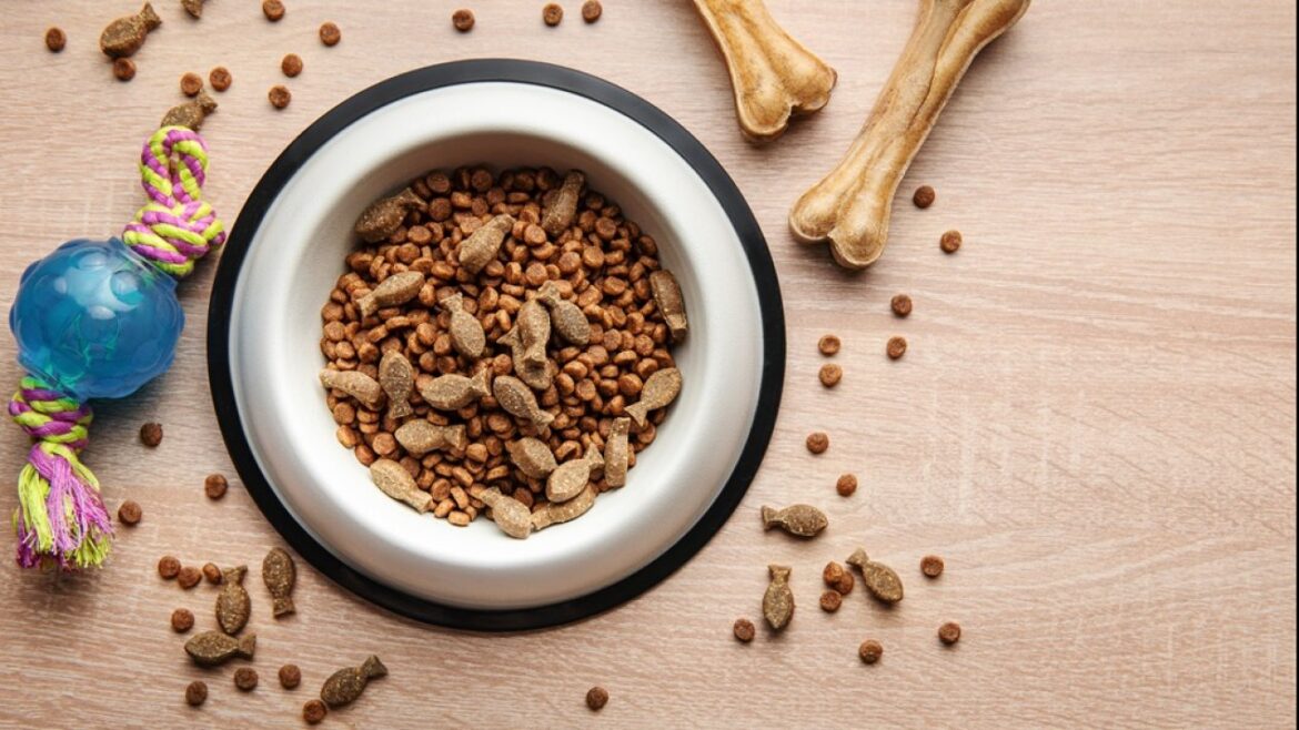 Mexico’s Pet Food Market Grows as Household Spending Rises