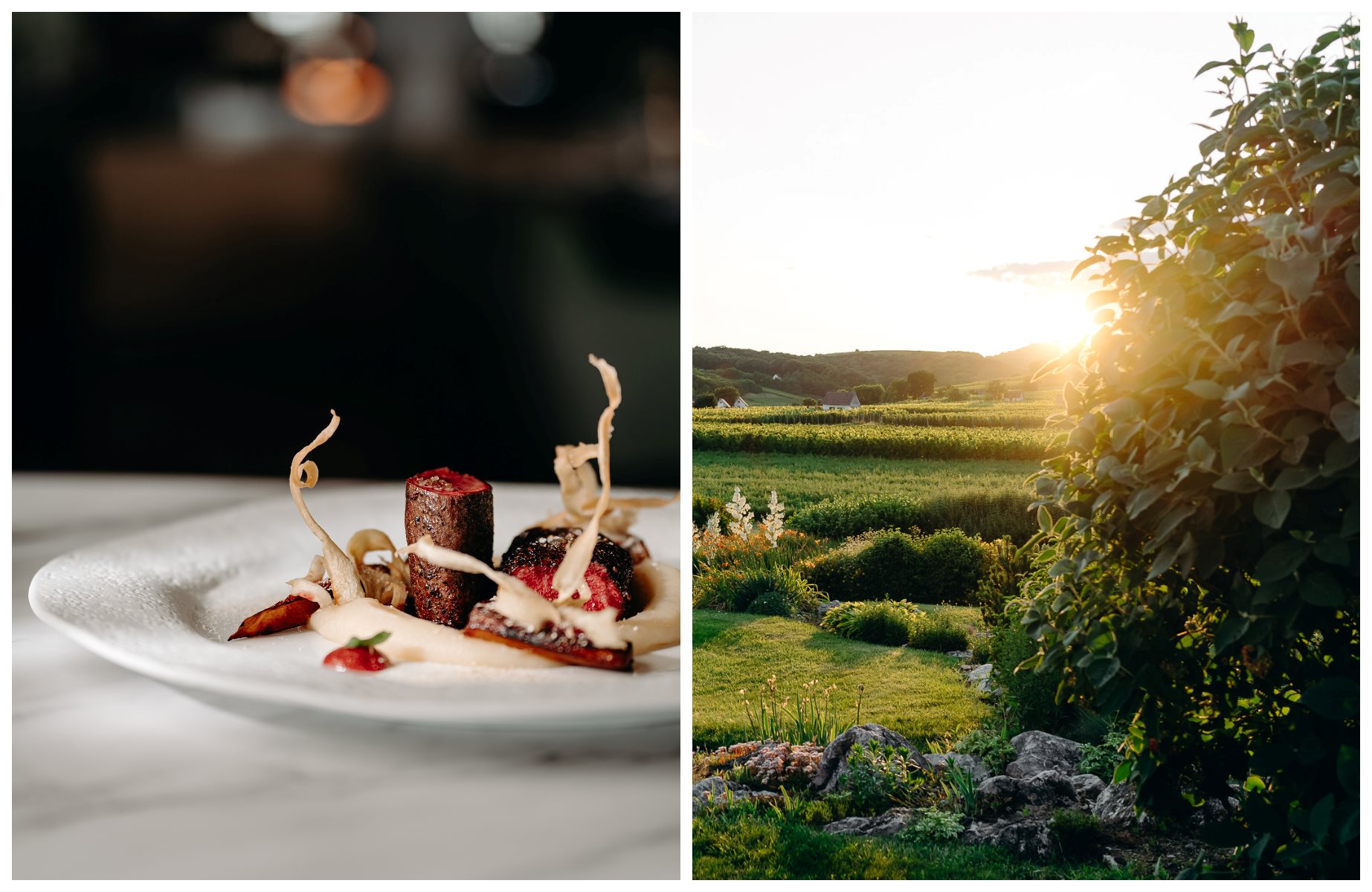 At Sauska 48 in Villány, enjoy homestyle Hungarian dishes paired with regional reds and rosés, all framed by the winery’s vineyard views from the terrace. © Gábor Eszterle/Sauska 48  