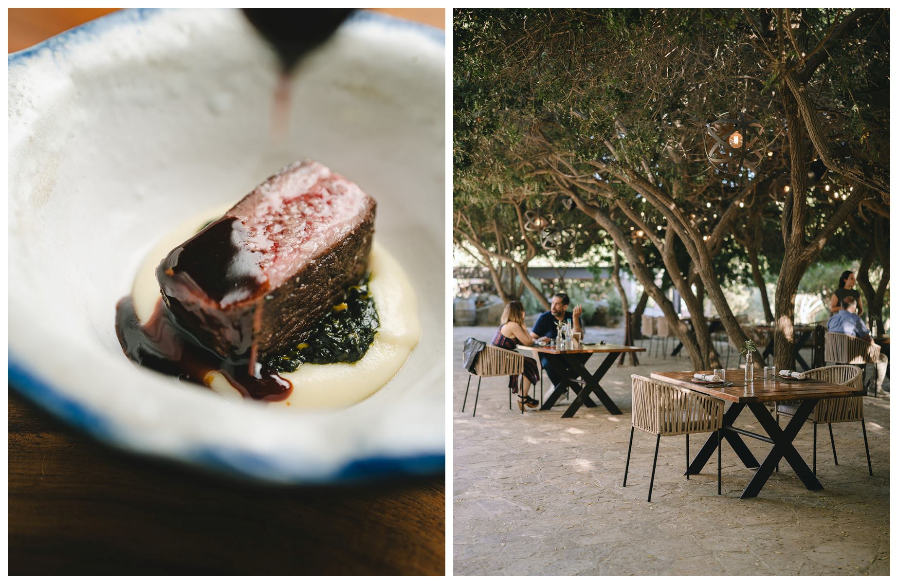 In Valle de Guadalupe, Damiana blends into Viñedos de la Reina’s vineyards, pairing award-winning wines with a MICHELIN-Starred tasting menu by Chef Esteban Lluis, inspired by Baja’s local bounty. © Jimena Solis- Technicolor Creative Studio/Damiana 