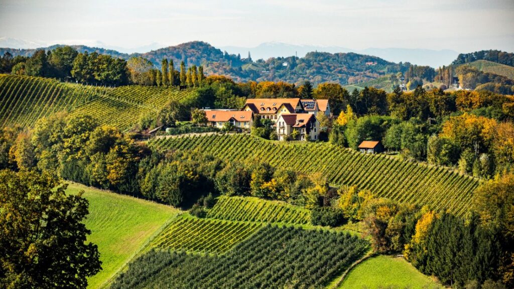 18 of the Best Vineyard Restaurants in the World for an Immersive Escape