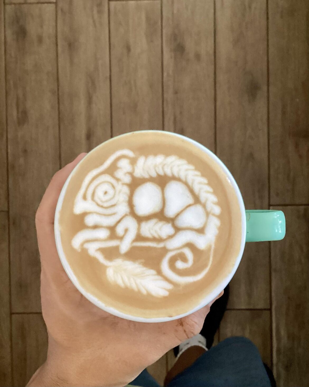 chameleon from last week 🦎🦎🦎