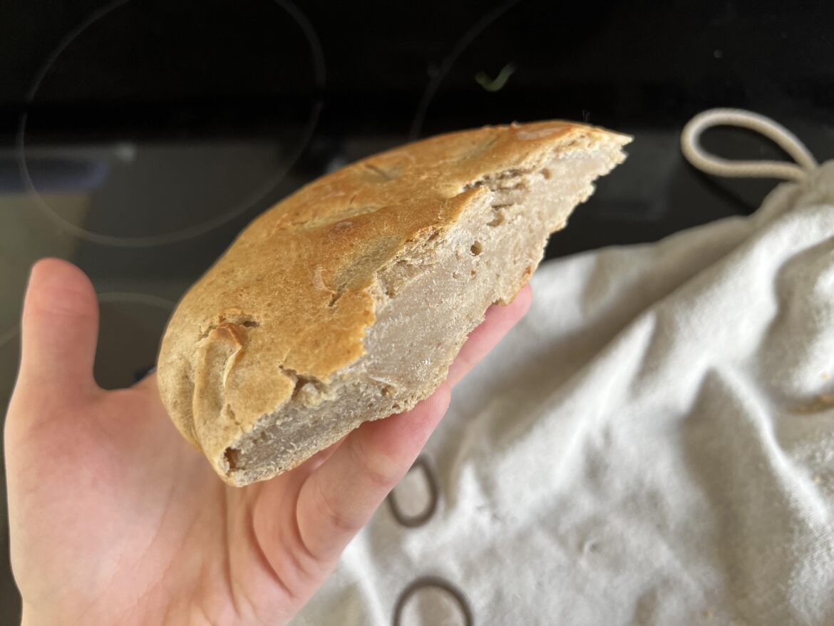 My mom got into sourdough and i'm paying the price