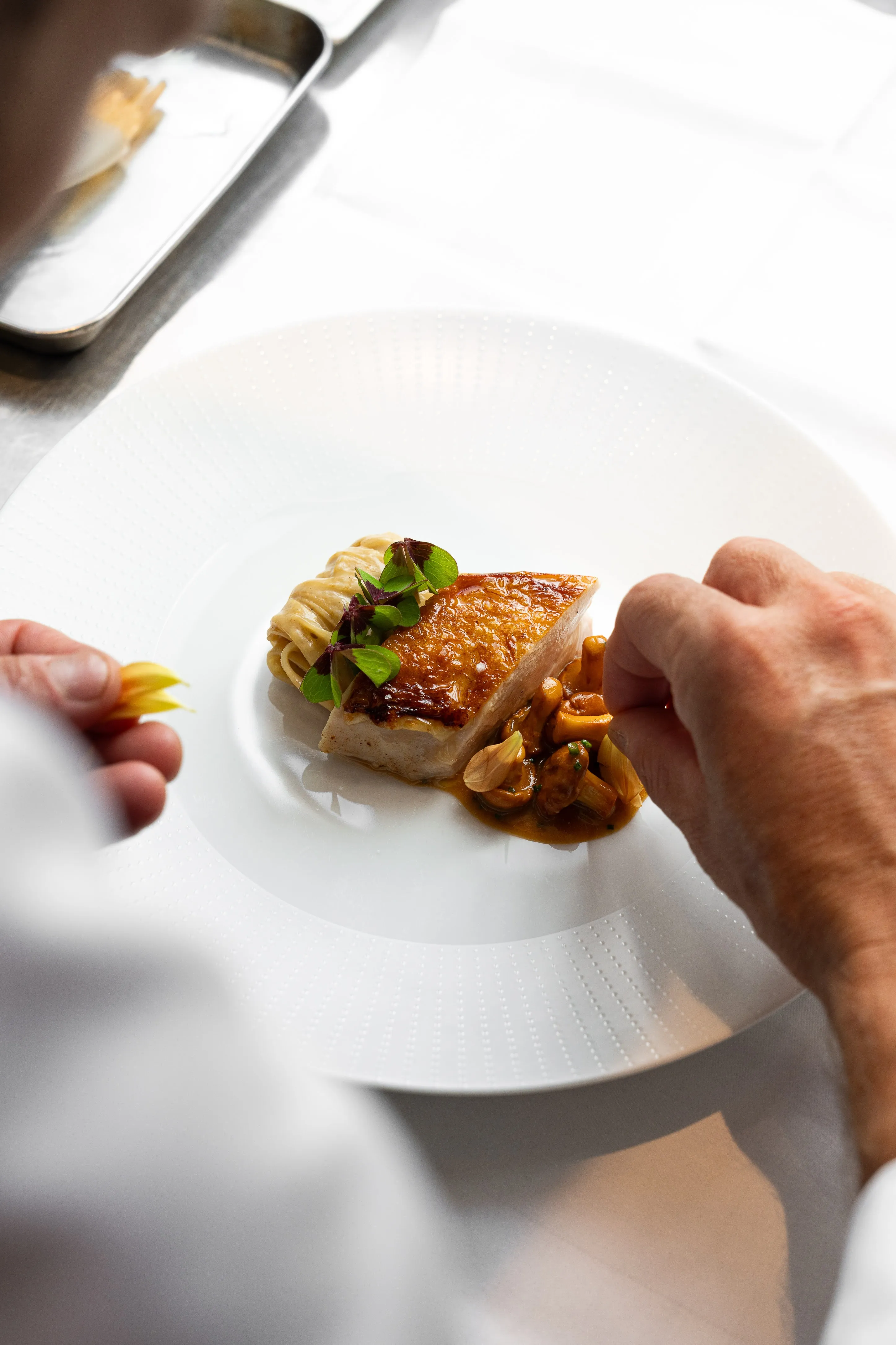 anne-pavillondelareine-sept25@lephotographedudimanche-44