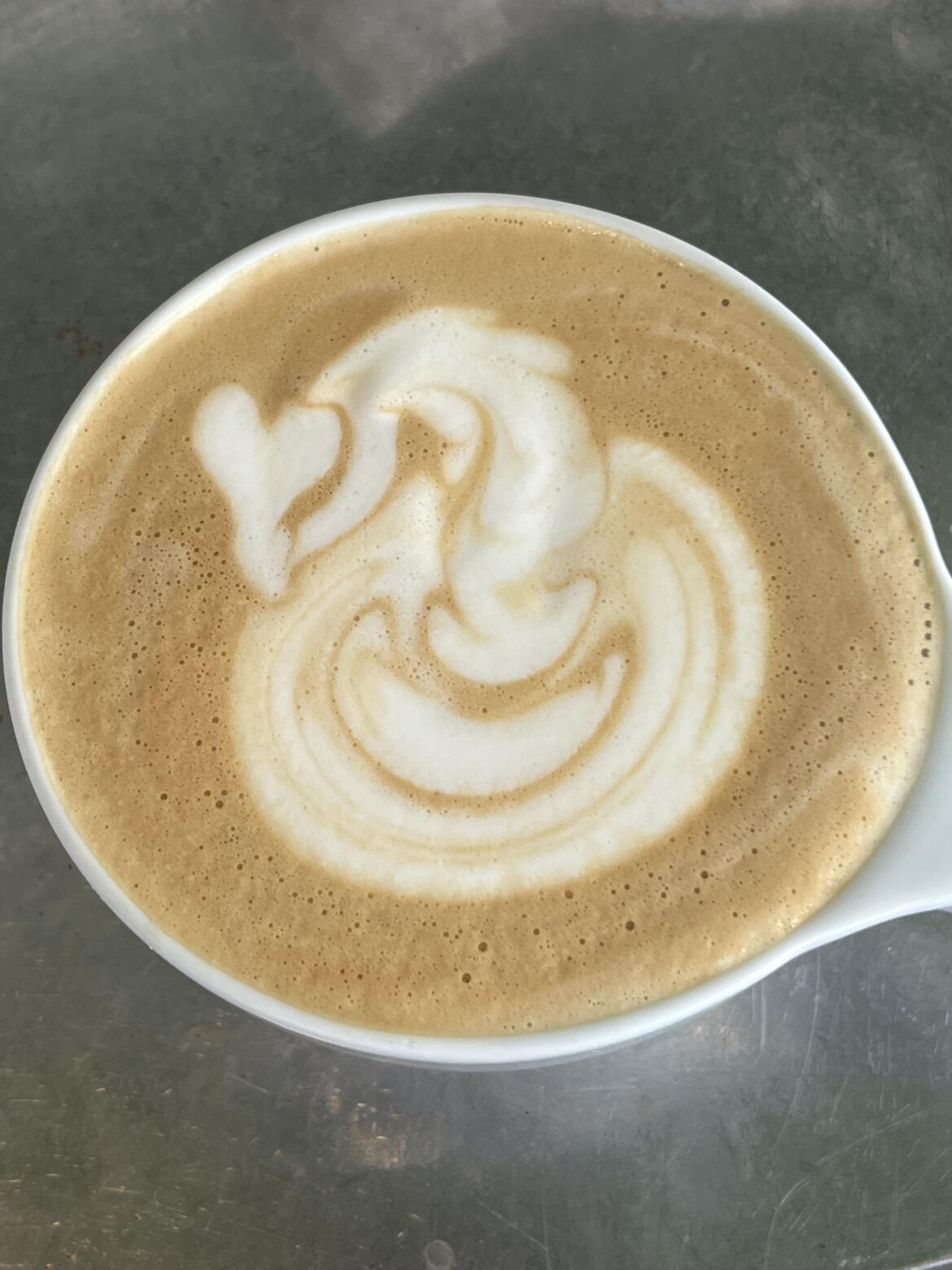 Stop looking at me swan!