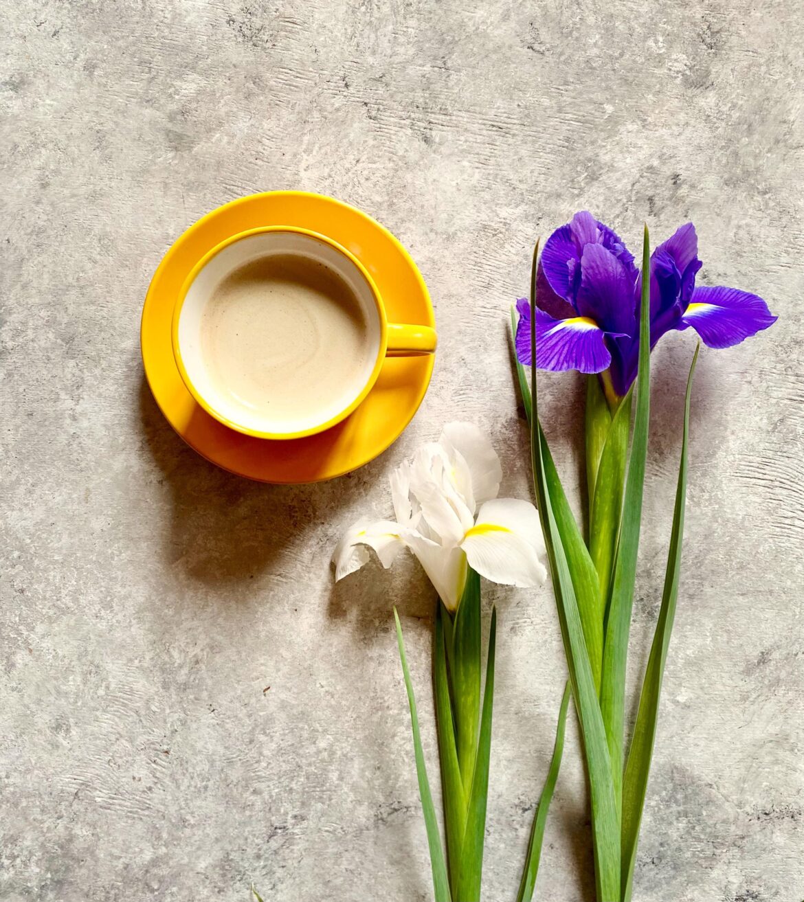 Hello SPRING 🌱 Good morning ☕️