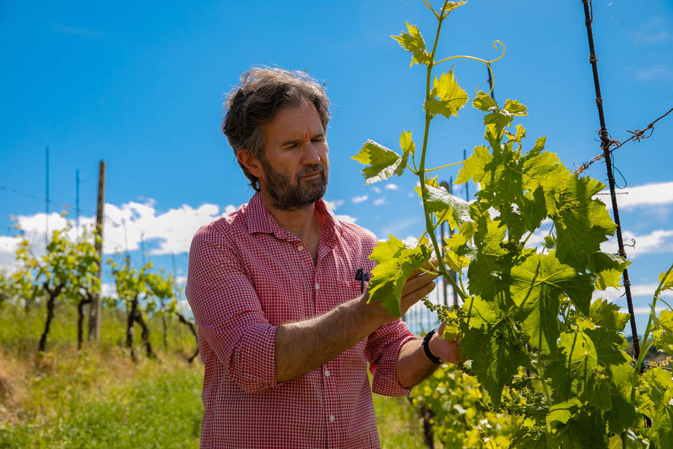 azienda agricola cracco 6