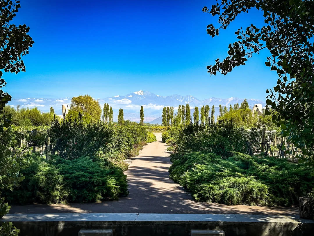 A paved path lined with green bushes and tall trees leads toward distant snow-capped mountains under a clear blue sky, framed by leafy branches.