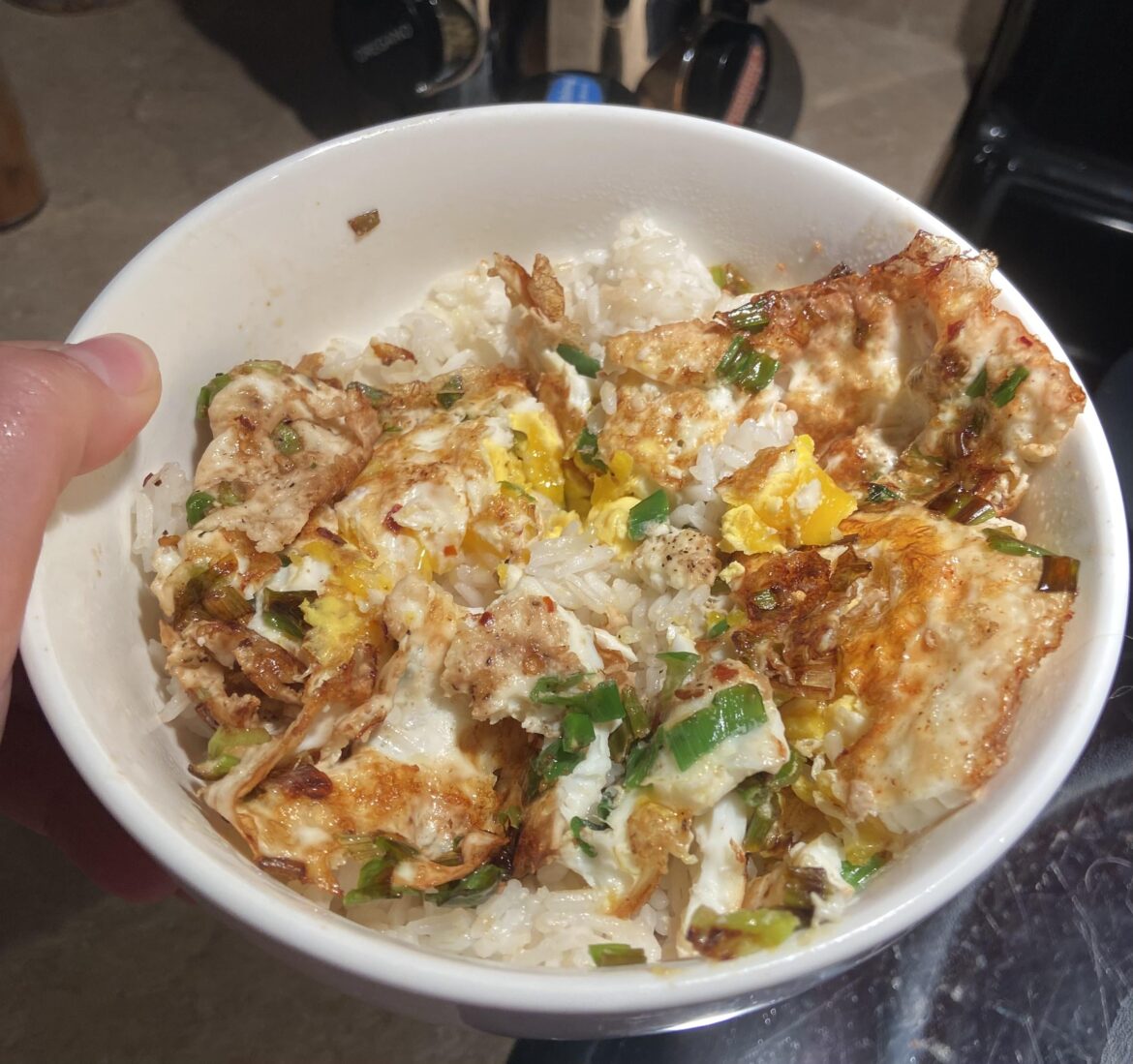 Green Onion Eggs & Rice