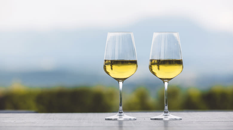 Glasses of white wine in a vineyard