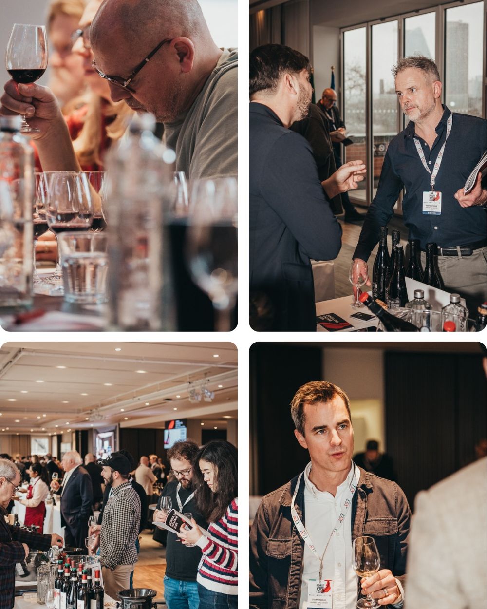 Borsa Vini Italiani 2026