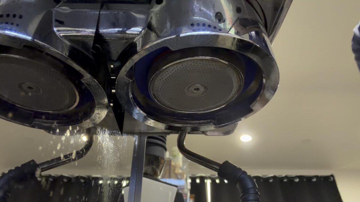 Possible issues with brew group [Quick Mill Silvano Evo]