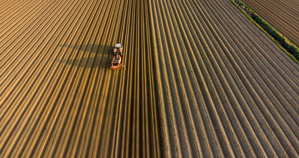 The Silent Collapse of Soil Health: Implications for Climate and Food Security