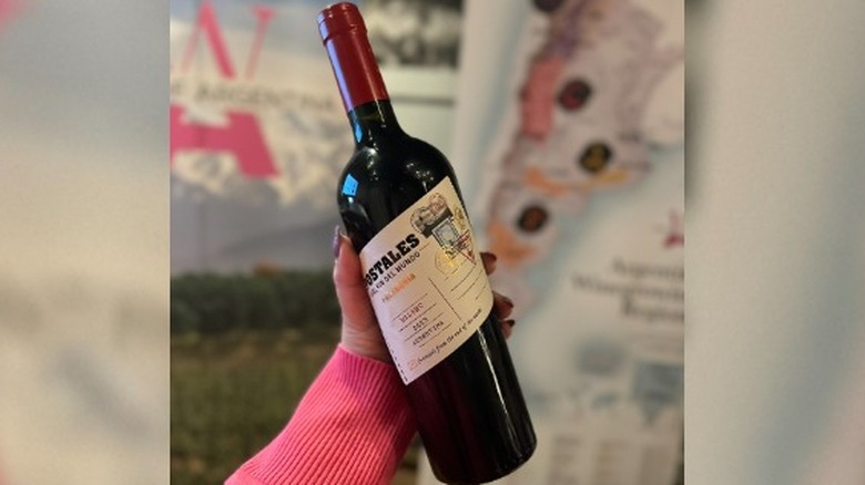 A bottle of Postales del Fin del Mundo red wine