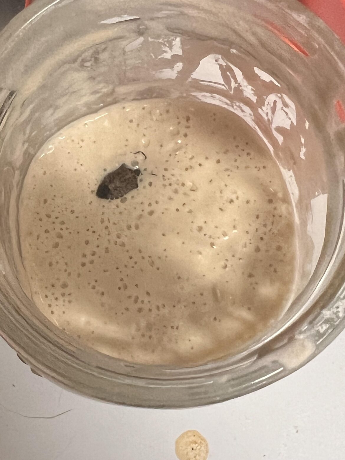 Quite literally might lose it 🥲