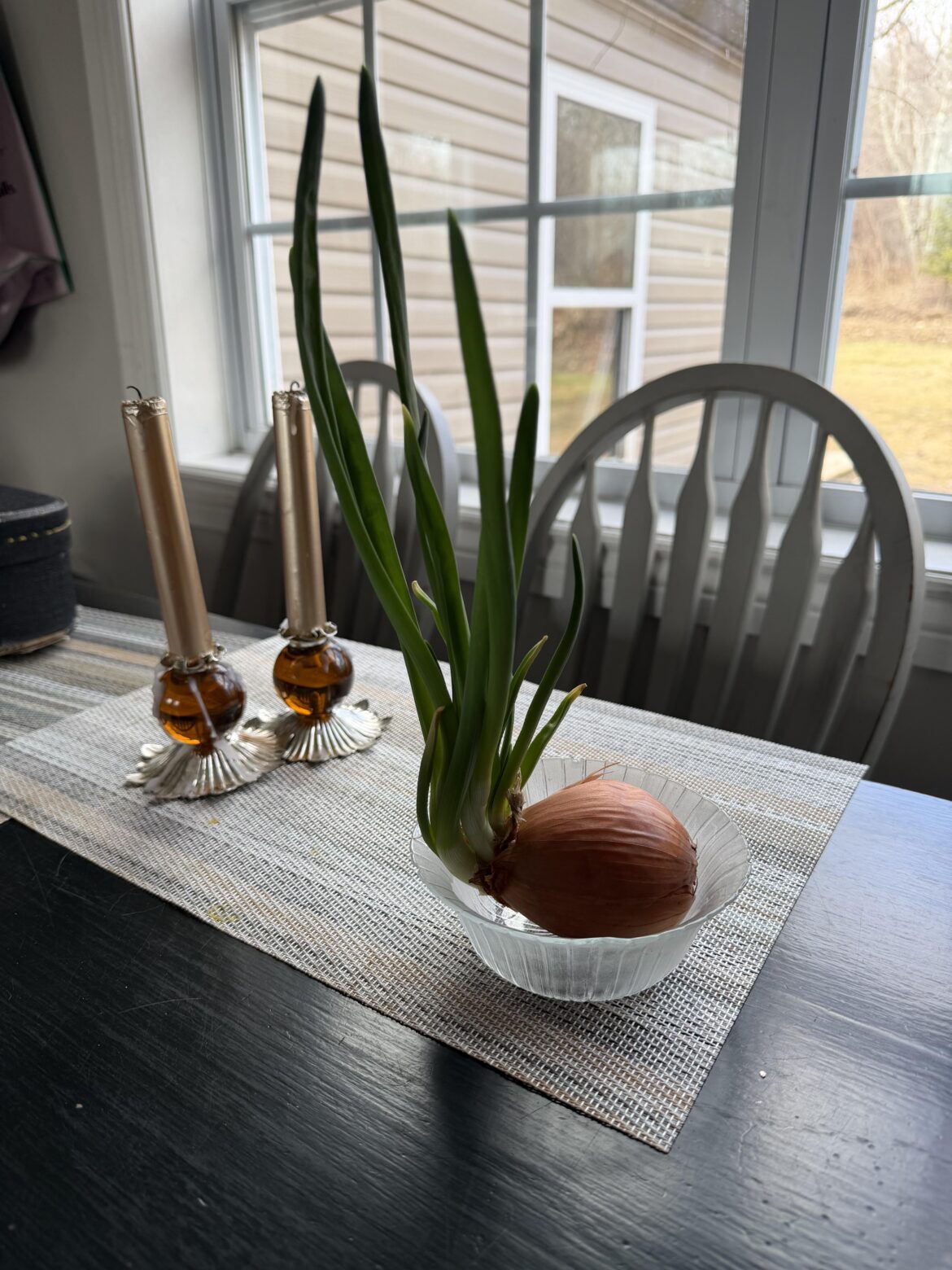 “Thee Onion” has been a permanent fixture in my kitchen for several months now. I’ll be sad to see it go but it’s still hanging on for dear life 💪