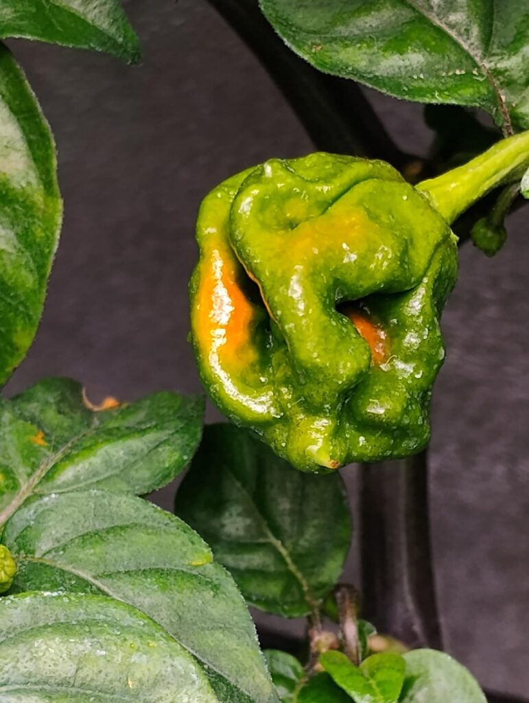 Let the changes begin 😊