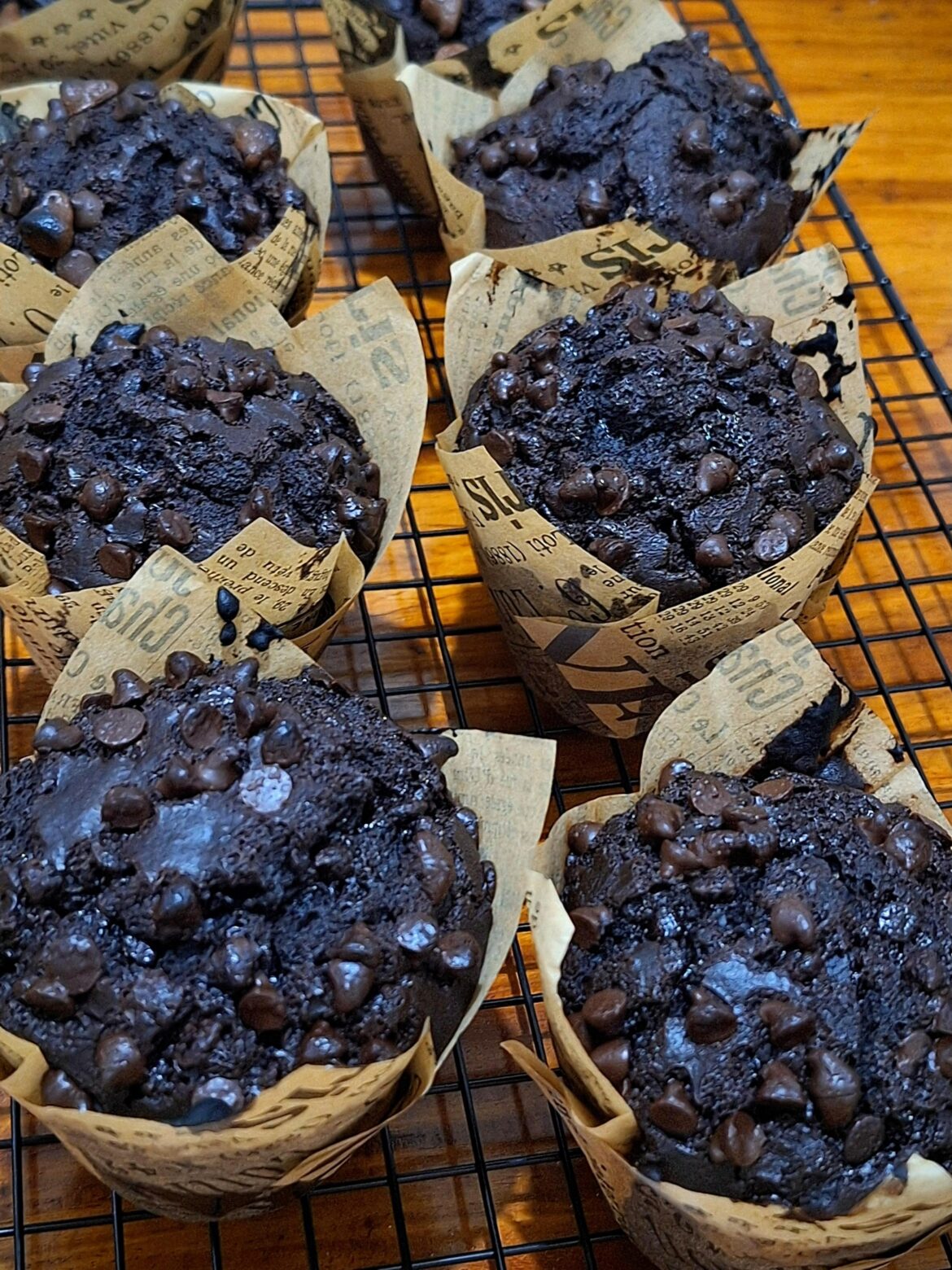 Homemade Dark Choco Chip muffins!!