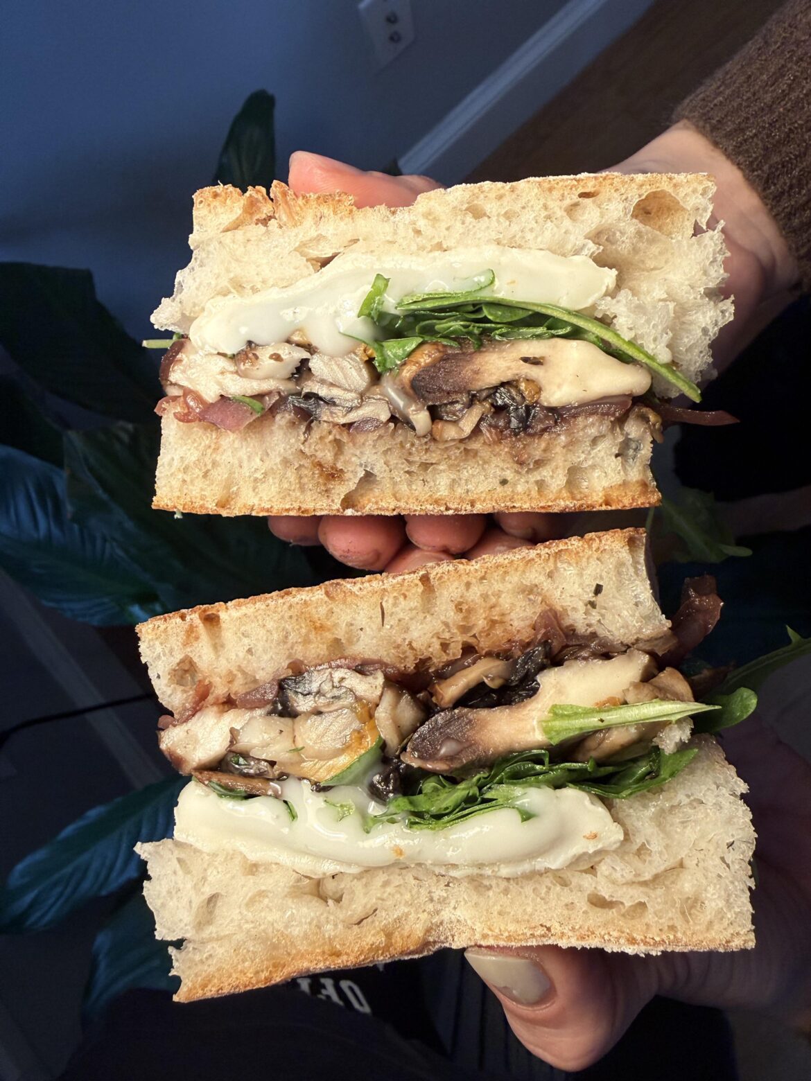 Truffle Mushroom Goat Cheese sandwich with red onion jam