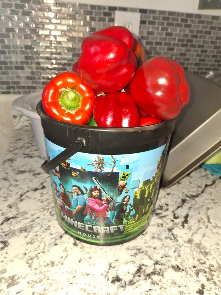 Cut my 3 bell peppers to make space for spring starts in my grow room. Got 20+ peppers on one plant. Cut my 3 bell peppers to make space for spring starts in my grow room. Got 20+ peppers on one plant.