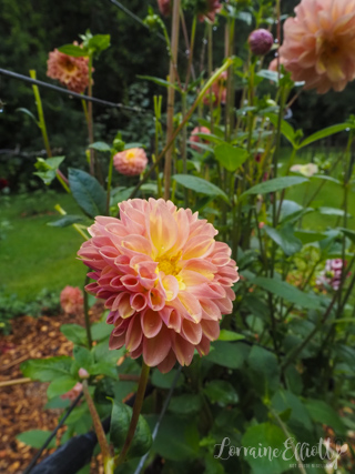 Central Coast NSW Australia Restaurants Hotel