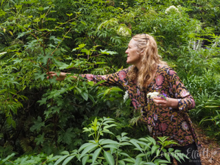 Central Coast NSW Australia Restaurants Hotel