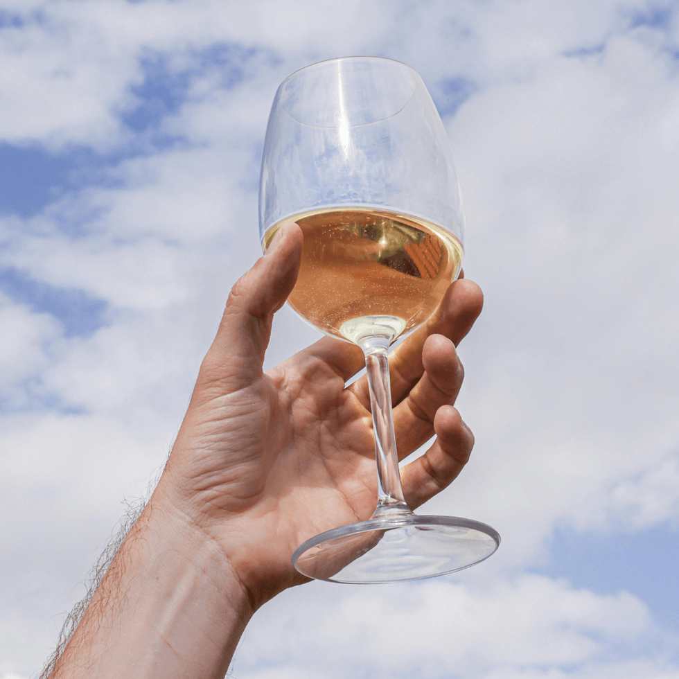 Chenin Blanc White Wine For The Holidays