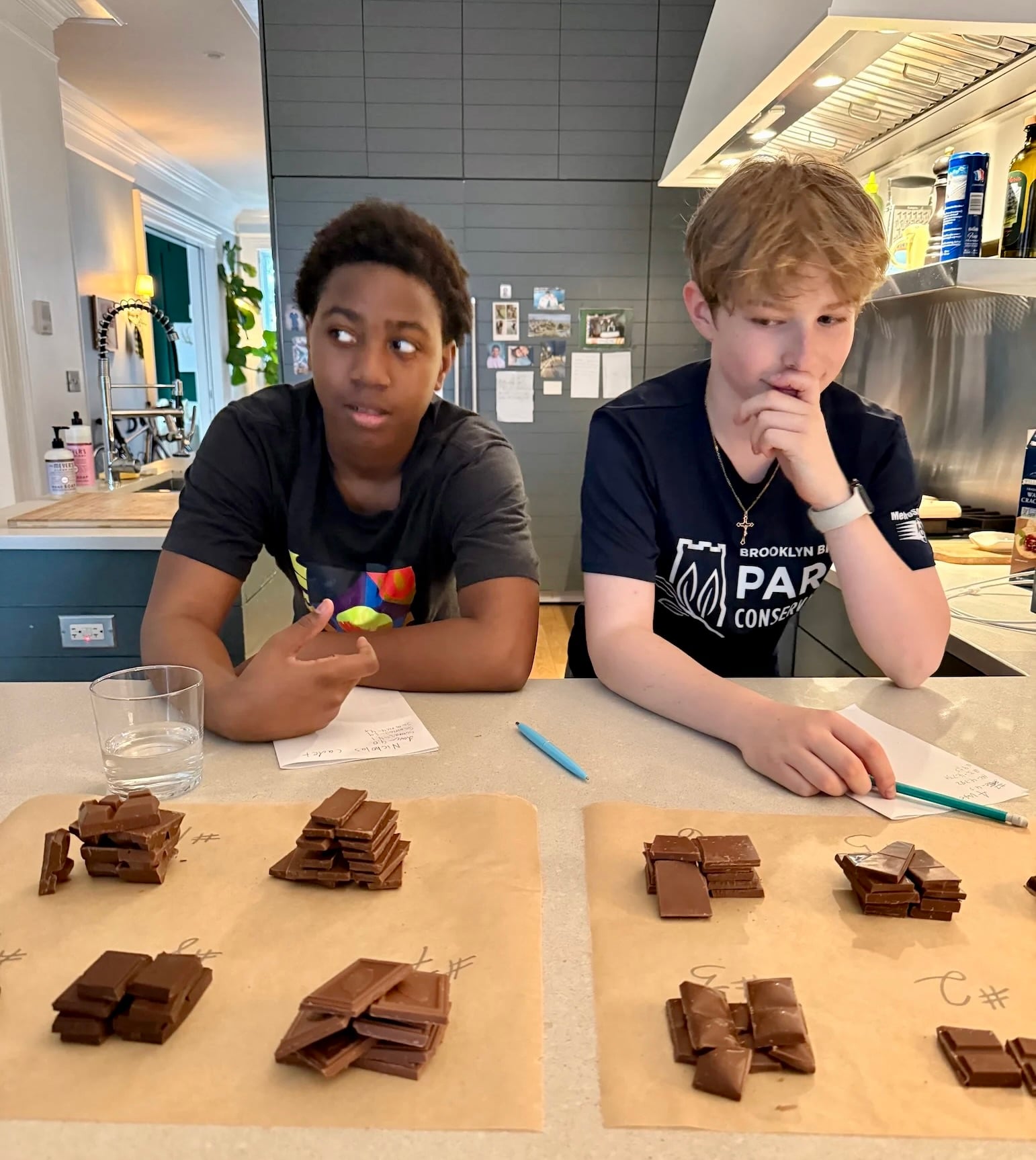 A Milk Chocolate Taste Test