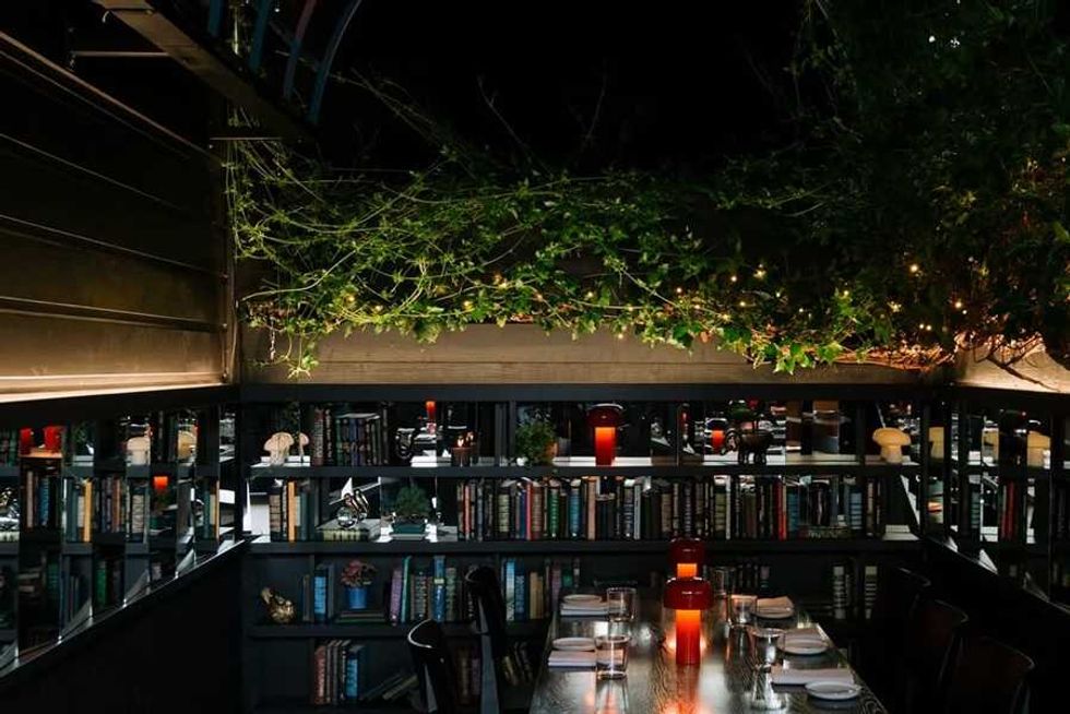 Cozy dining scene with bookshelves, plants, and warm lighting in a restaurant.