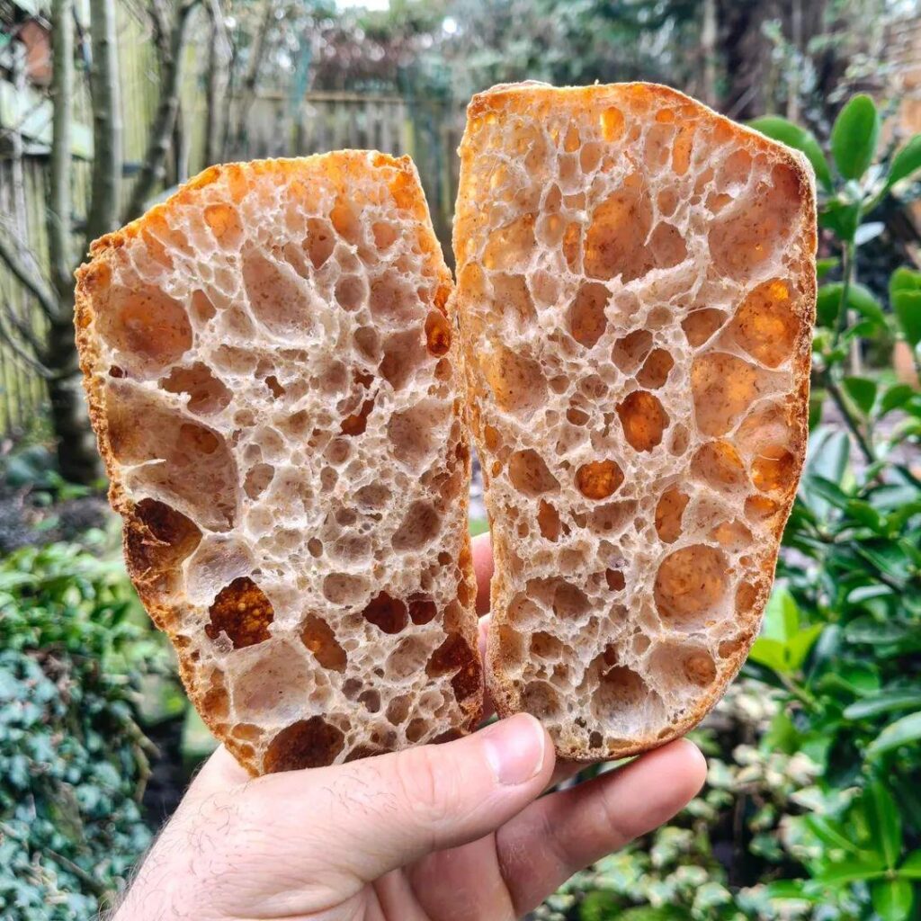 Sourdough ciabatta [homemade]