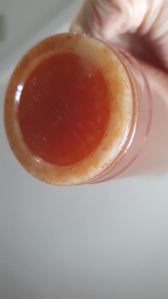 did this oat milk go bad? it's kinda looks like the egg whites of a poached egg but from a brand new non expired carton of plant oat milk